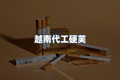 越南代工硬芙
